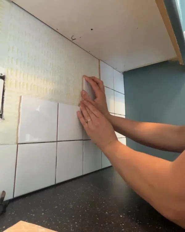 13858 blue checkered kitchen accessories