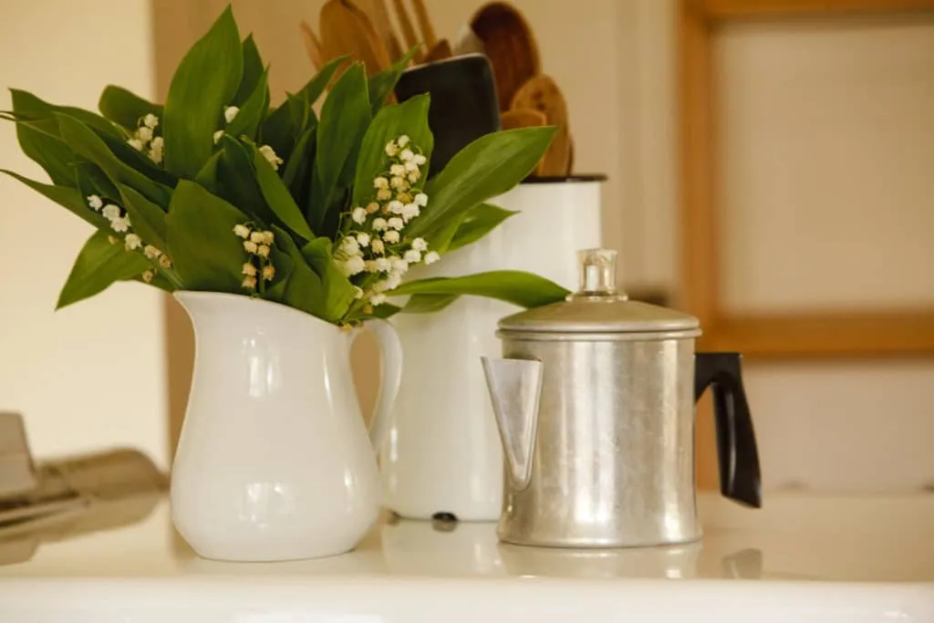 13906 colorful kitchen decor