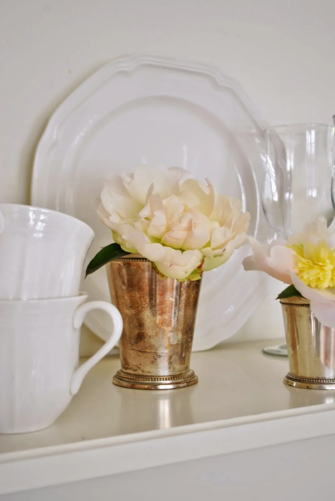 13924 tropical kitchen shelves