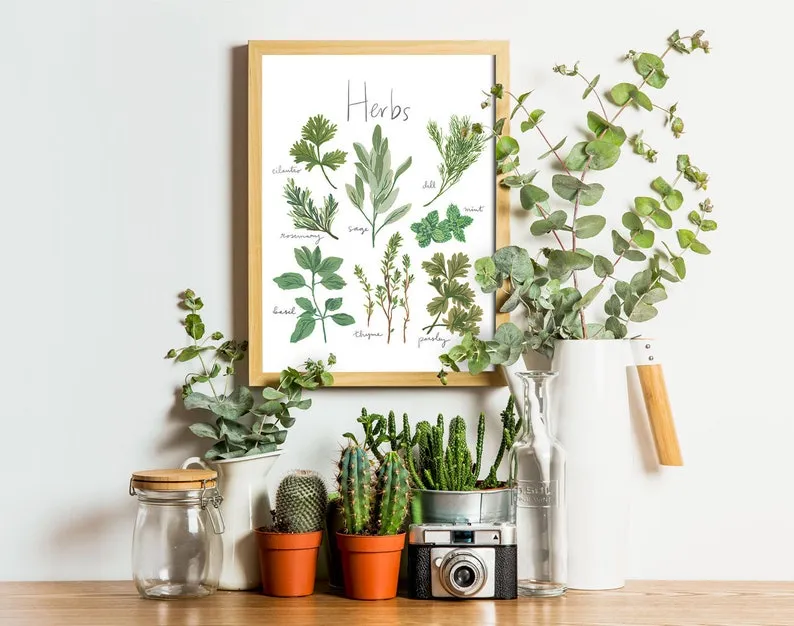 13963 herb pots planters