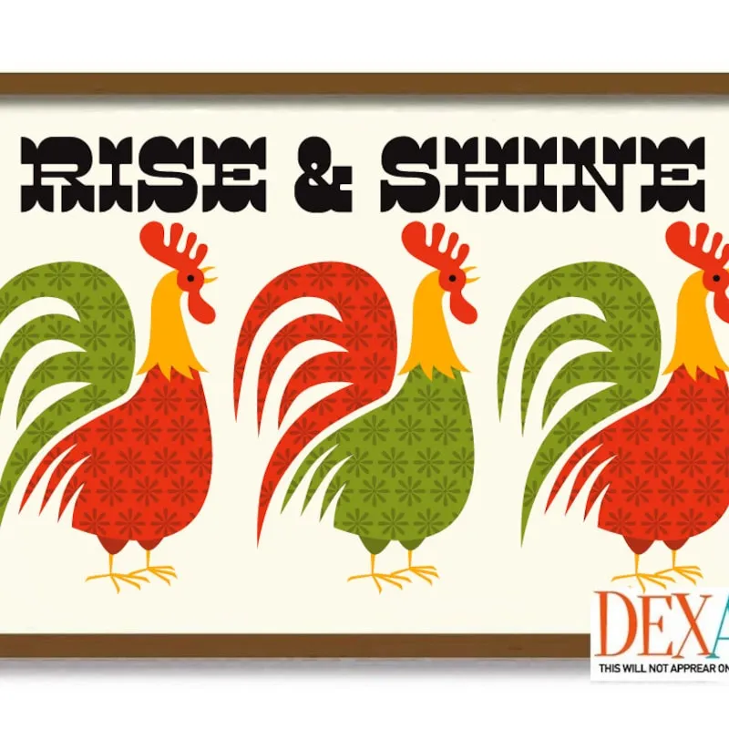 /img/14051-budget-rooster-decor.webp