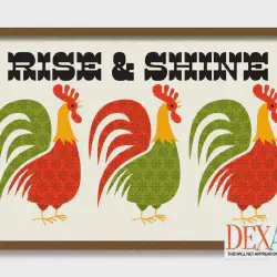 /img/14051-budget-rooster-decor.webp