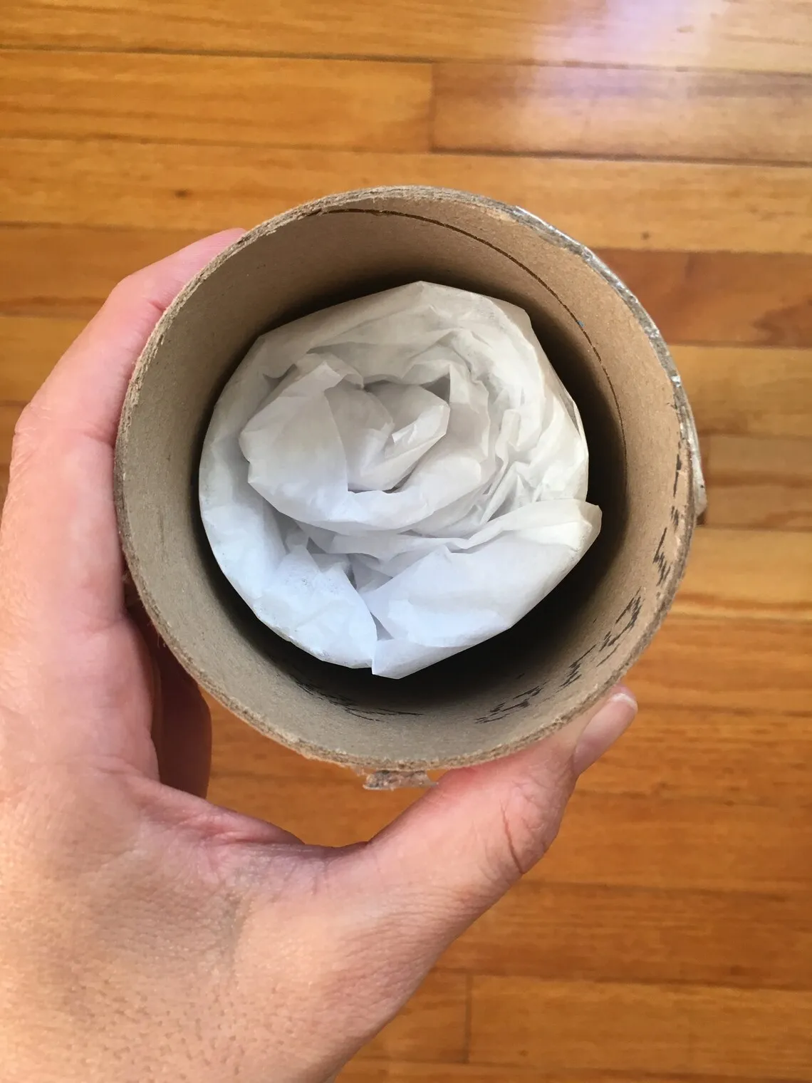 14060 eggplant lighting