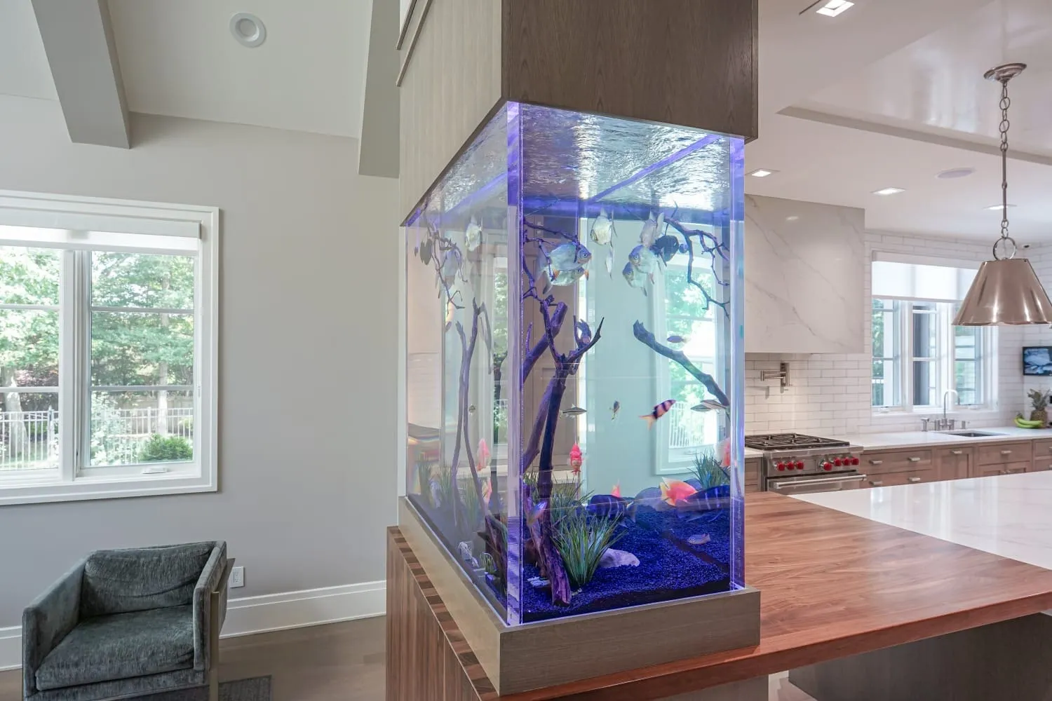 14065 fish tank lighting